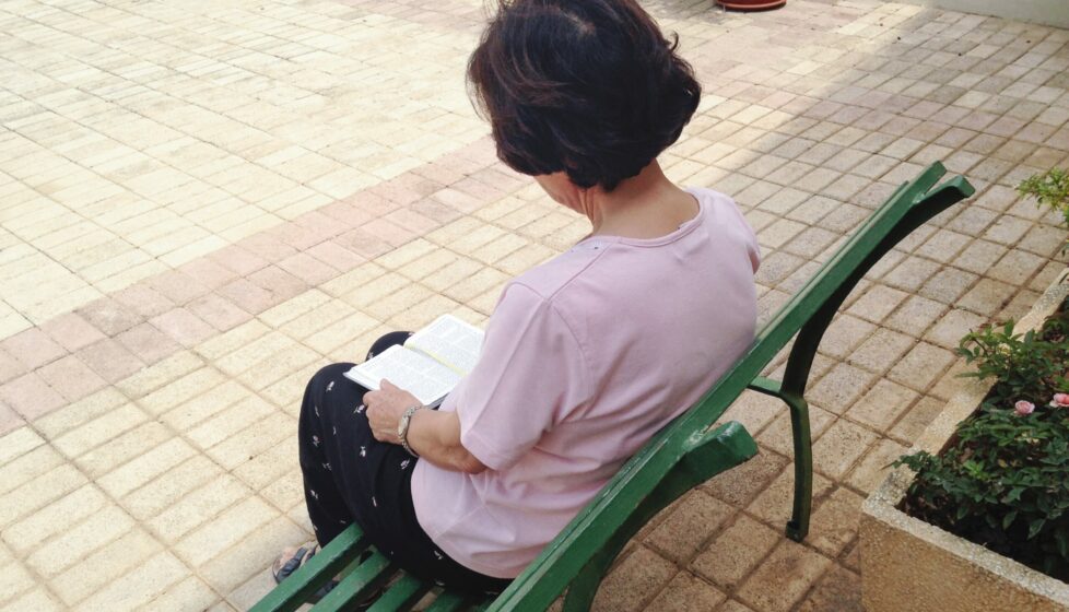 a woman sits on a bench outside reading her bible
