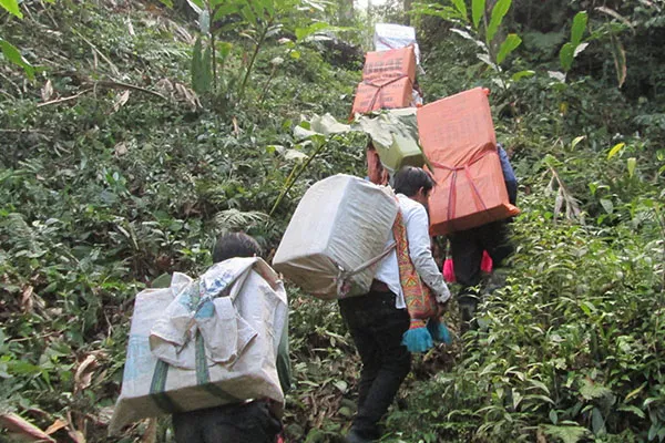 People carrying large packages through a forest
