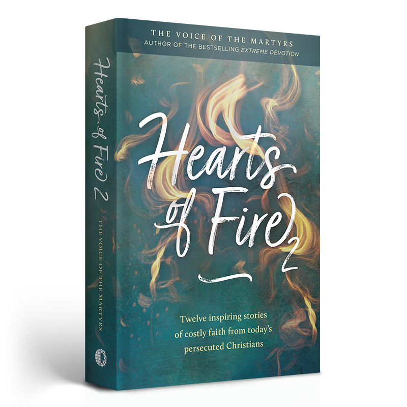 Cover of Hearts of Fire 2