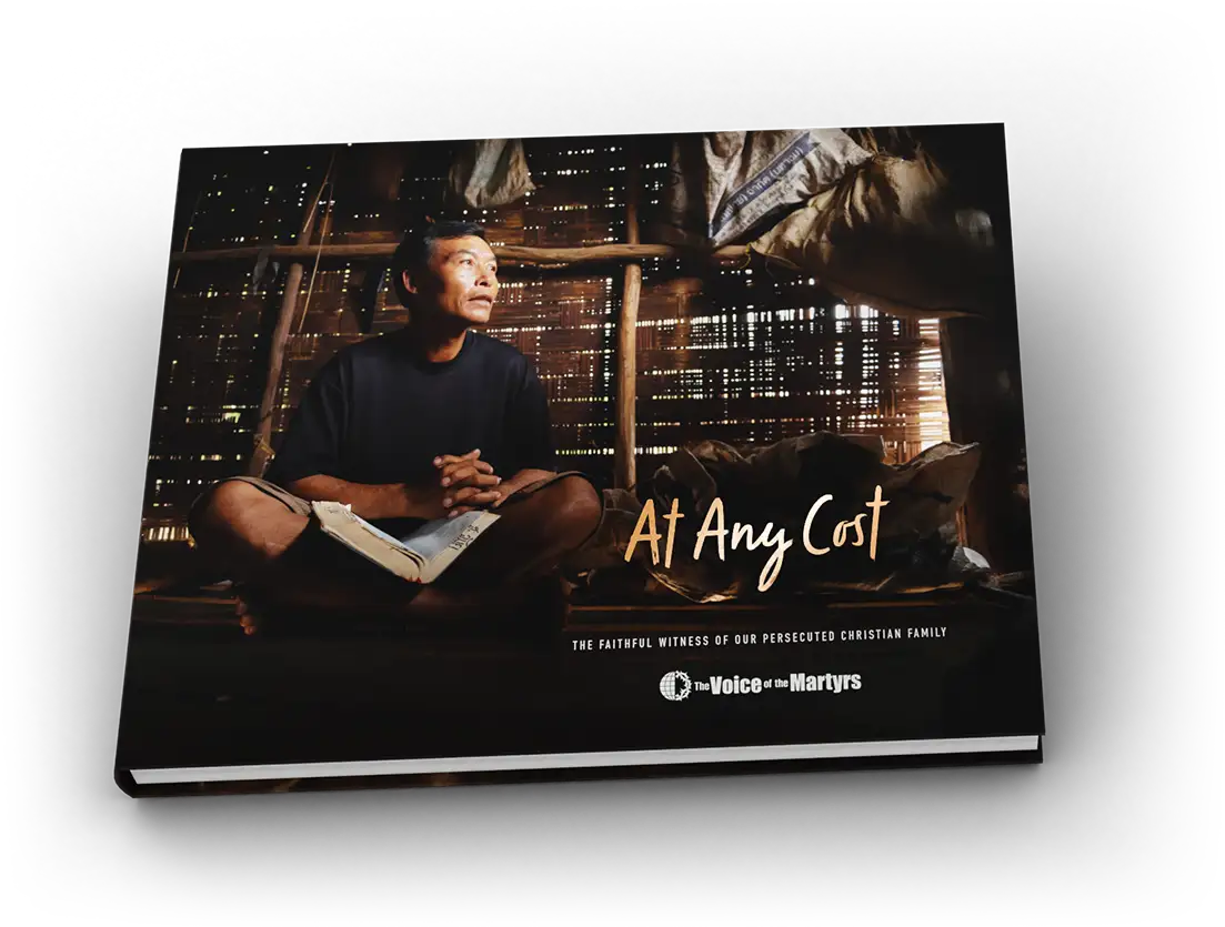 At any cost book cover