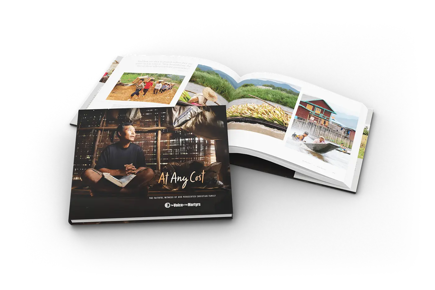 Cover of the book 'At Any Cost'