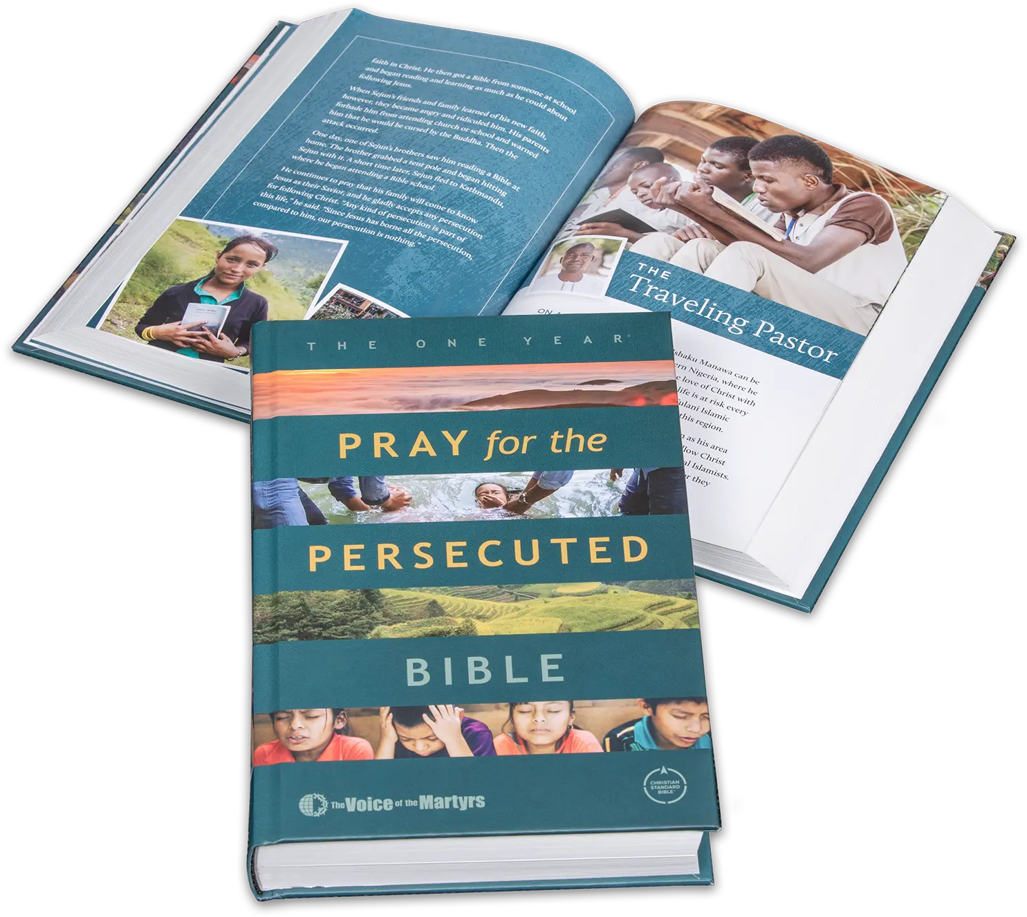 The One Year Pray for the Persecuted Bible Cover