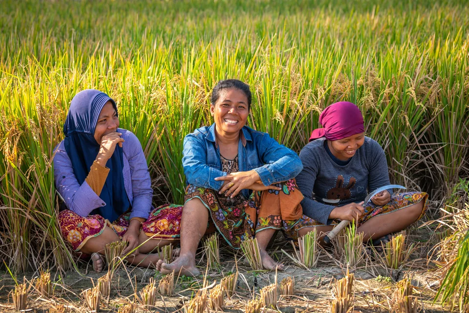Three women sharing a moment together beside a rice field