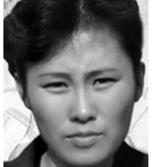 Cha Deoksun martyr